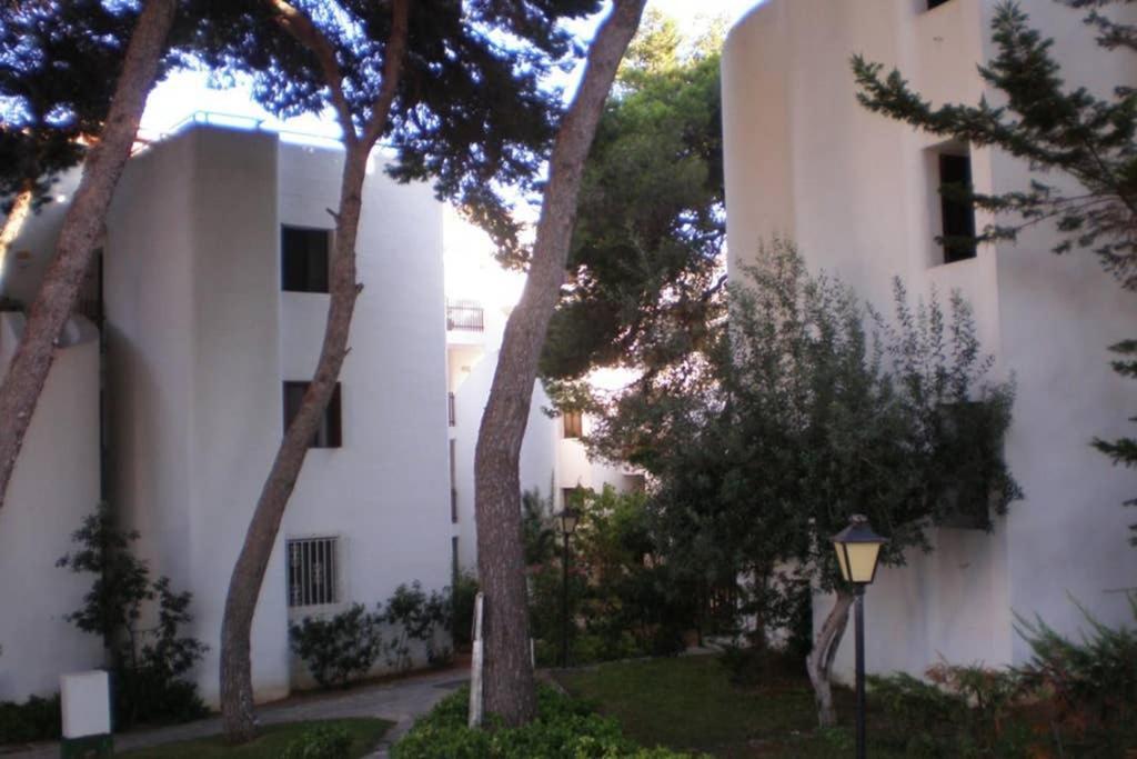 Apartment Sea Frontline 'charo' Pool And Wifi