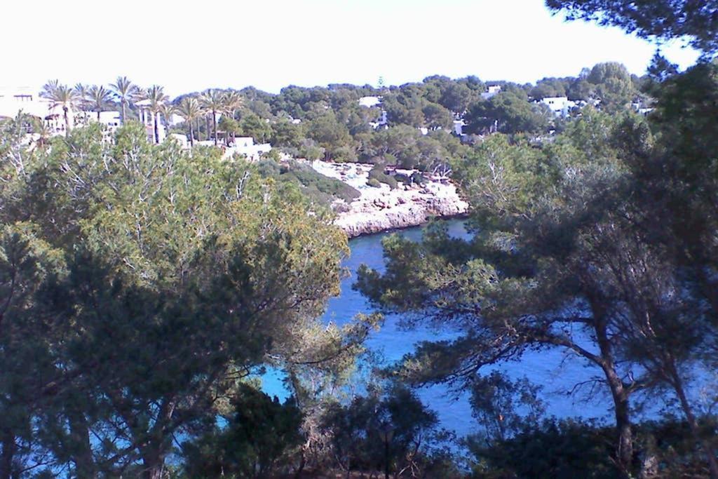 Apartment Sea Frontline 'charo' Pool And Wifi *